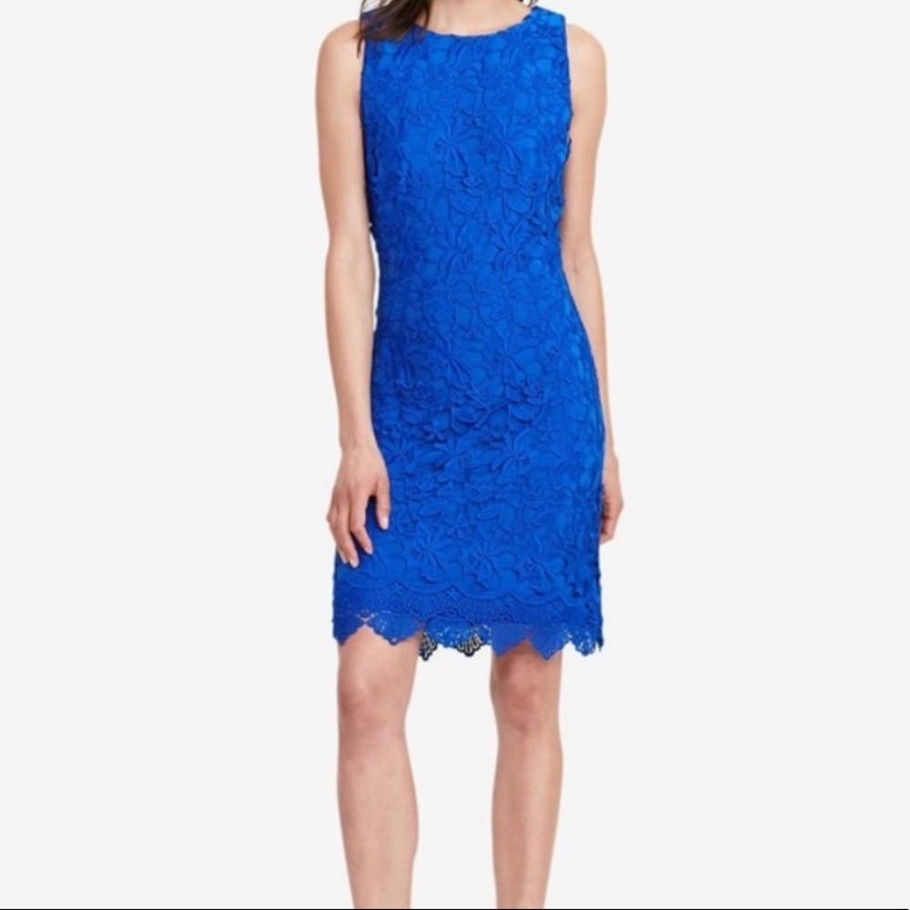 NWT Lauren Ralph Lauren Lace Royal Blue dress